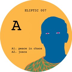A1. Peace In Chaos