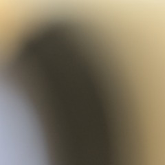 soap (there's way too much)