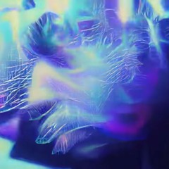 vanii -  _too light__「skellyfied! exclusive」