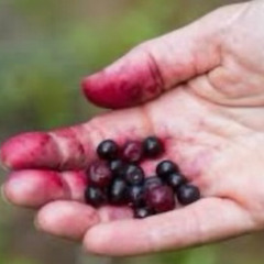 (FRAPPY & DJ MEME EXCLUSIVE)Xanman - Widachop (ft. Richard, Huckleberry Boyz)