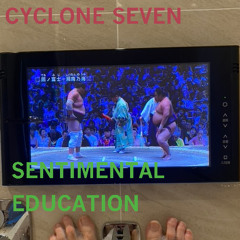 Sentimental Education