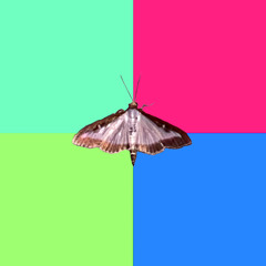 1000miles (old as fuck)