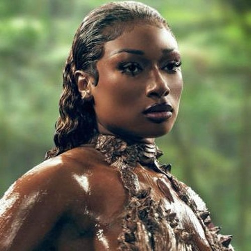 Cobra HA - Megan Thee Stallion (Myxr Vogue Mix)