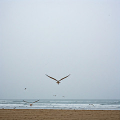 Peace At Sea