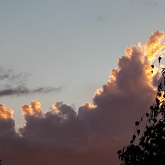 Alles Rot...Silly Cover MR