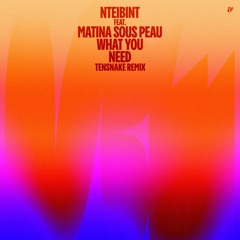 PREMIERE :  NTEIBINT feat. Matina Sous Peau - What You Need (Tensnake Remix)  [Eskimo Recordings]