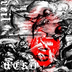 WCKD - December:deception