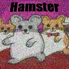 Was Bringt Mir Nen Hamster