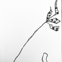 Leapy Kitty.loopyrecording