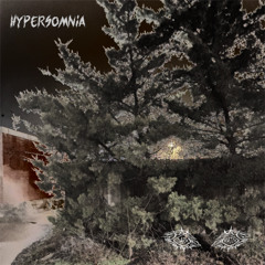 Hypersomnia [All Nighter 10]