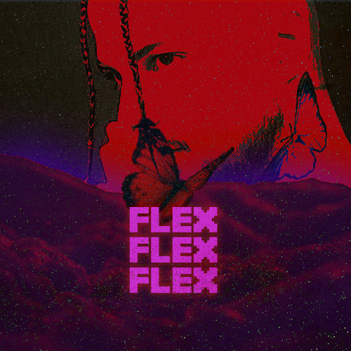 FLEX FLEX FLEX (Ft. PAPA A$LI)