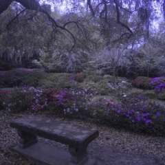 come n go (outyourmind)