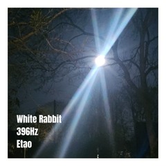 White Rabbit 396Hz
