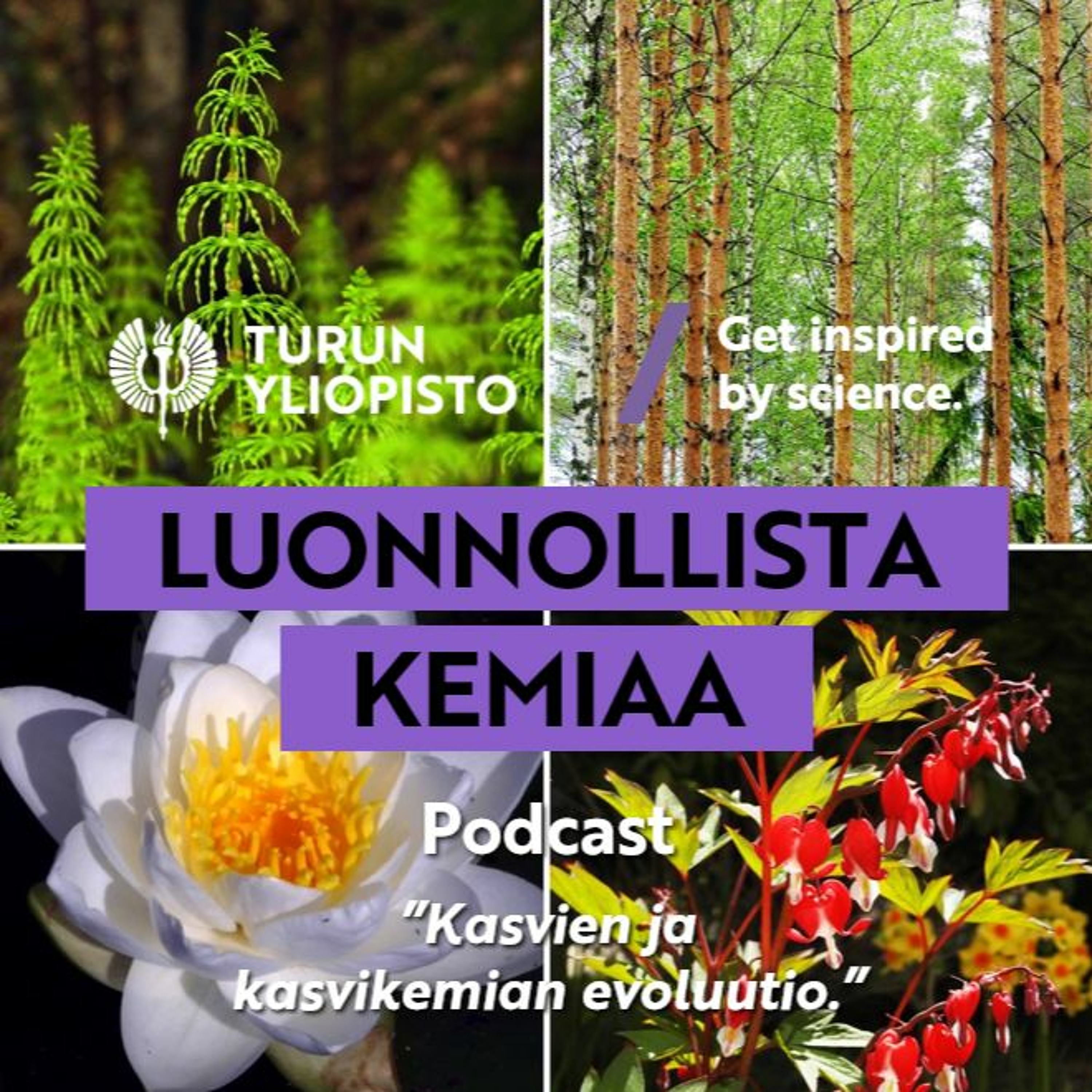 Luonnollista kemiaa: Kasvien ja kasvikemian evoluutio episode artwork