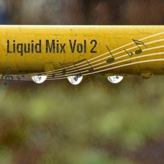 Liquid Drum and Bass Mix Vol 2
