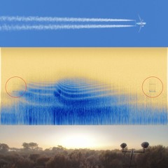 2024.06.02 Endangered Malleefowl versus Two Boeing 737s