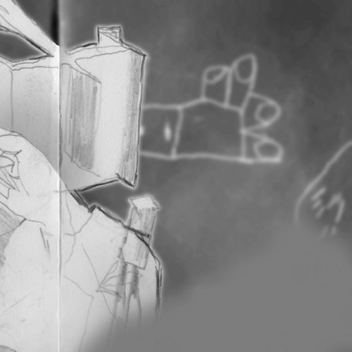 The Birds Sang At Midnight