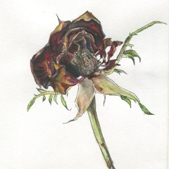 Hallelujah cover- Leonard Cohen.mp3