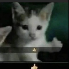 Ngl This One Goes Hard (Rihanna, Asake, Fireboy DML, kanye west, Doja Cat, TitoM)