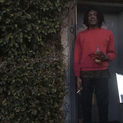 Lucki - Randomly (flawed mangoes remix)