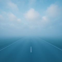 THE WAY WE GO