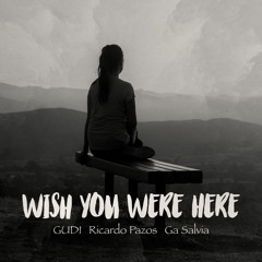 GUDI, Rircardo Pazos & Ga Salvia - Wish You Were Here
