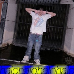 HALO (oharai digital)