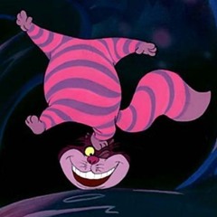 "La Capsule in wonderland" MJC Manosque 06.04.2024