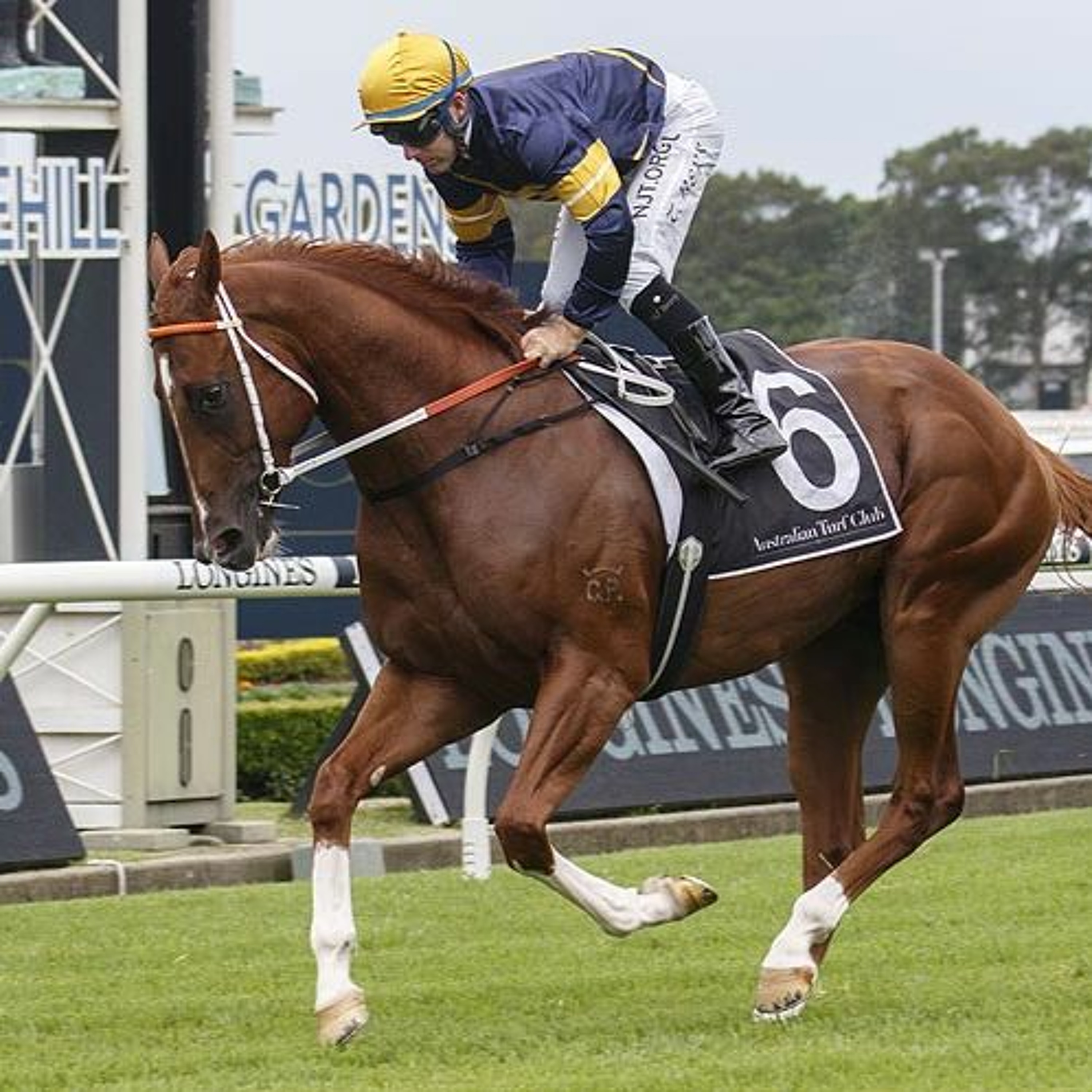 Sandown Hillside 18th of August Midweek Punting Preview