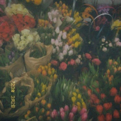 Mind - Em - Đi (M - Đ) (ft. Hwd) [Official Audio]