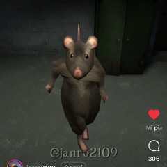 Er dry de bari