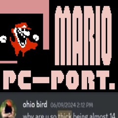 Mario PC-PORT: Reborn - MARIO TIME [SCRAPPED]