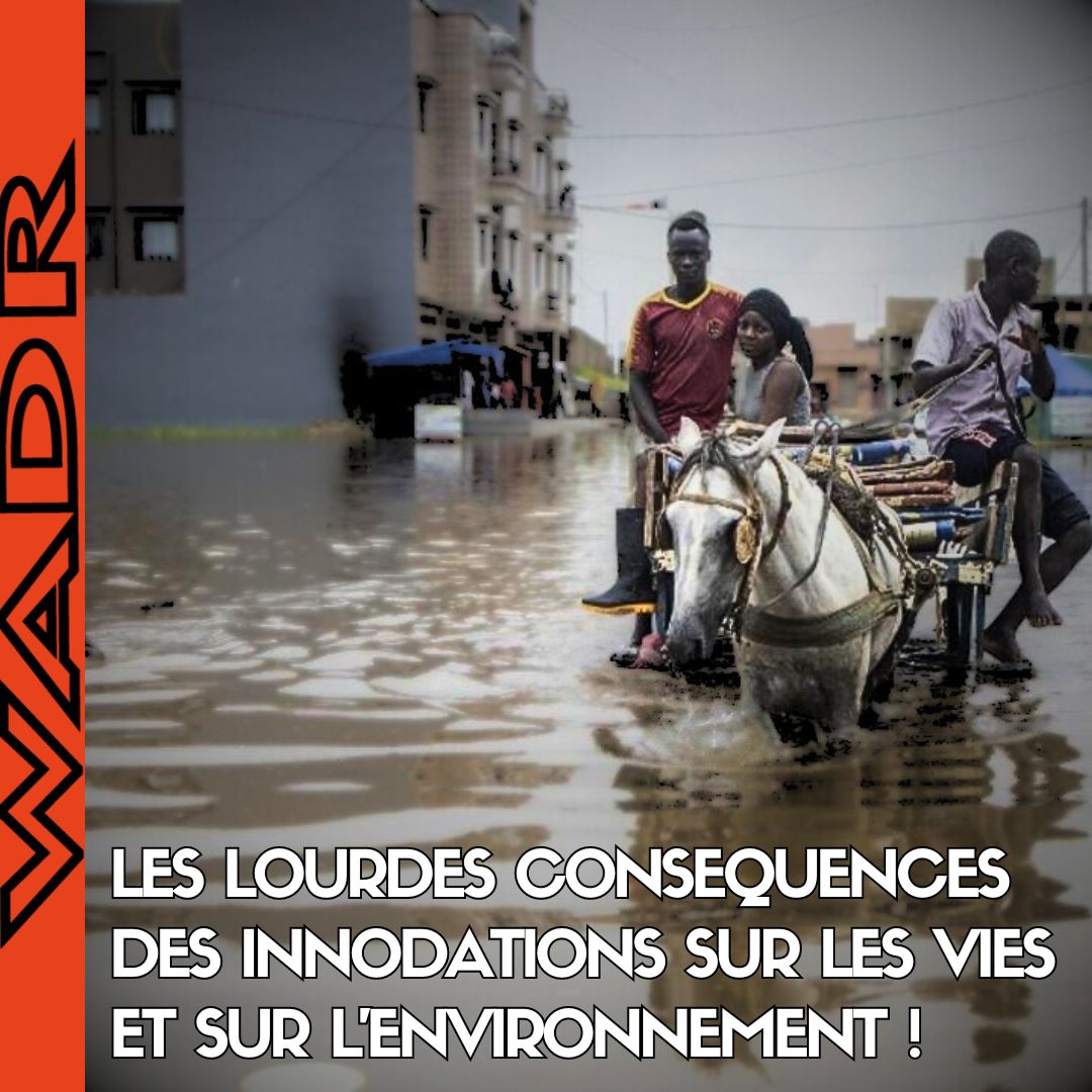 Les Lourdes Conséquences des Inondations sur les Vies et sur l’Environnement ! - PLANETERRE episode artwork