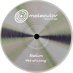 Premiere: Esilum - Enengive [Molecular Recordings]