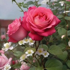 Disfrutemos al Triuno Dios!-No quiero vivir una vida vacía, sin sentido-Let’s Enjoy The Triune God!