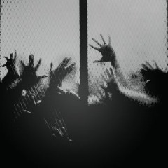 Virus