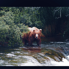 bears in da traphouse freestyle.m4a 2/2023 (prod. Donnie Katana)