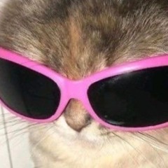 souljahkitty + bleaky + b07gem - ₍^ >ヮ<^₎ .ᐟ.ᐟ (dead at 18)