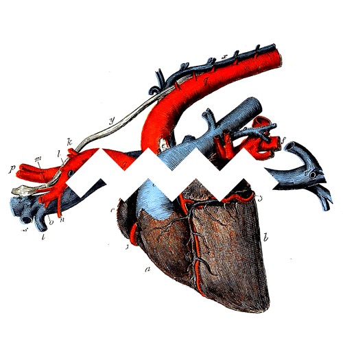 NO LOVE (Instrumental)