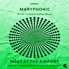 DSM023 | MARYPHONIC - Meet At The Airport (Original Mix)