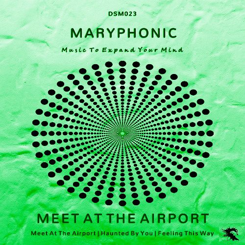 DSM023 | MARYPHONIC - Meet At The Airport (Original Mix)