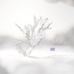 2timesdope - Push It - Earn It