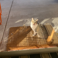 random - 12_4_24, 2.09 PM