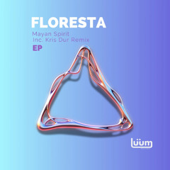 PREMIERE: Floresta - Mayan Spirit (Kris Dur Remix) [Luum Records]