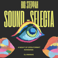 Big Steppah Sound Selecta  (Open Format Live at UMASS Amherst)