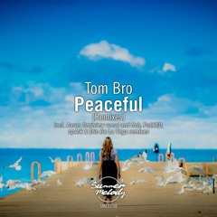 Tom Bro - Peaceful (Aaron Dmitriew Vocal Remix) [SMLD098]