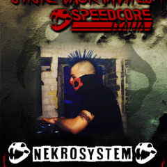 Nekrosystem @ Strike Back invites Speedcore Italia 05.07.2025