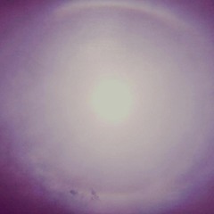 Dream