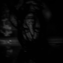 Serenity w/ Moonshyne ✠, Access, Darko