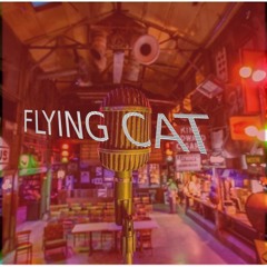 Flying Cat